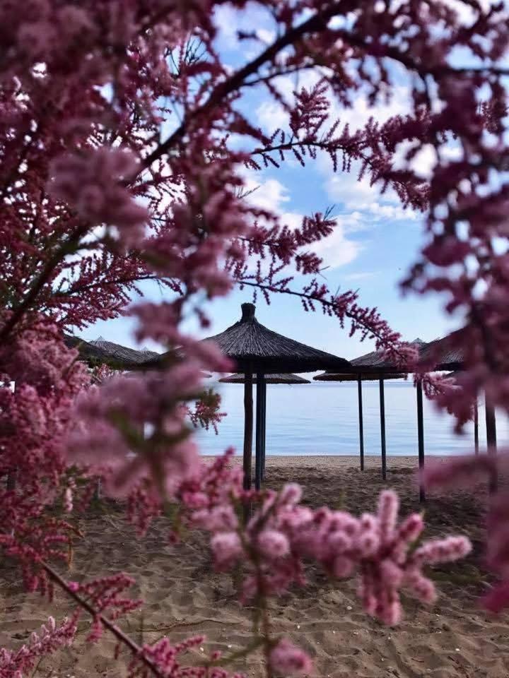 Hotel Nautilos โซโซโปลี ภายนอก รูปภาพ